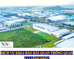 DỊCH VỤ KHAI BÁO HẢI QUAN THÔNG QUAN TẠI VĨNH PHÚC